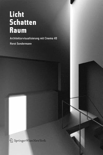 9783211297605: Licht Schatten Raum