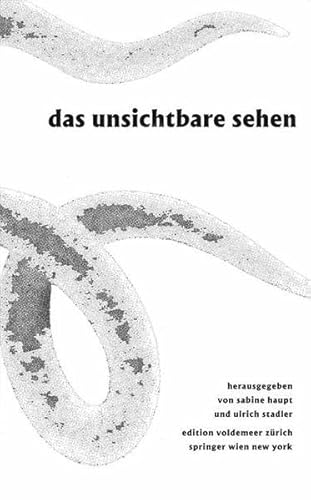 9783211366479: Das Unsichtbare Sehen: Bildzauber, Optische Medien Und Literatur