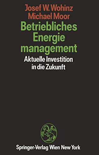 9783211821305: Betriebliches Energiemanagement: Aktuelle Investition in Die Zukunft