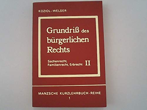 9783214146979: Grundriss des burgerlichen Rechts (Manzsche Kurzlehrbuch-Reihe)