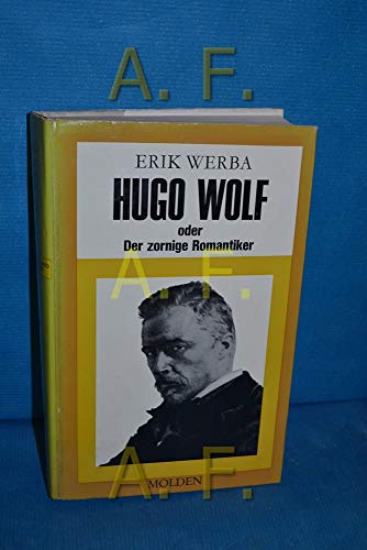 Beispielbild fr Hugo Wolf oder Der zornige Romantiker zum Verkauf von Gabis Bcherlager