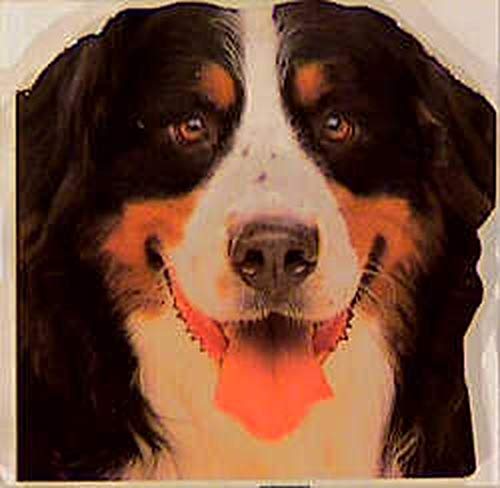 Beispielbild für Hunde und Welpen zum Verkauf von medimops