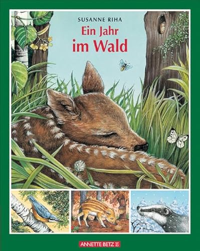 Beispielbild fr Ein Jahr im Wald zum Verkauf von biblion2