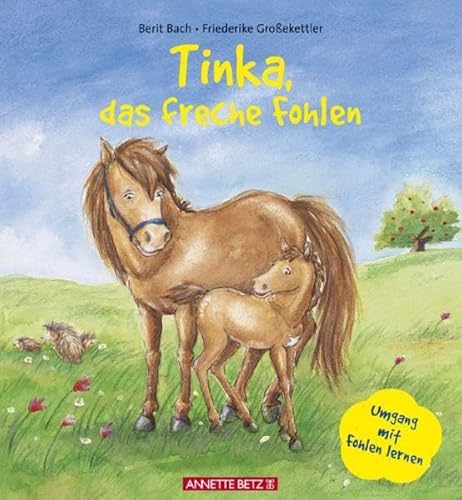 Beispielbild fr Tinka, das freche Fohlen zum Verkauf von medimops