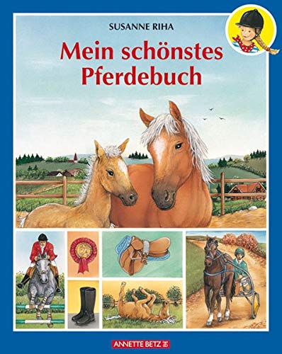 Stock image for Mein schnstes Pferdebuch for sale by medimops