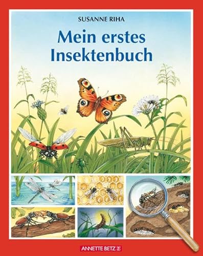 Mein erstes Insektenbuch (9783219114232) by Susanne Riha