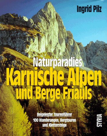 Naturparadies Karnische Alpen und Berge Friauls.