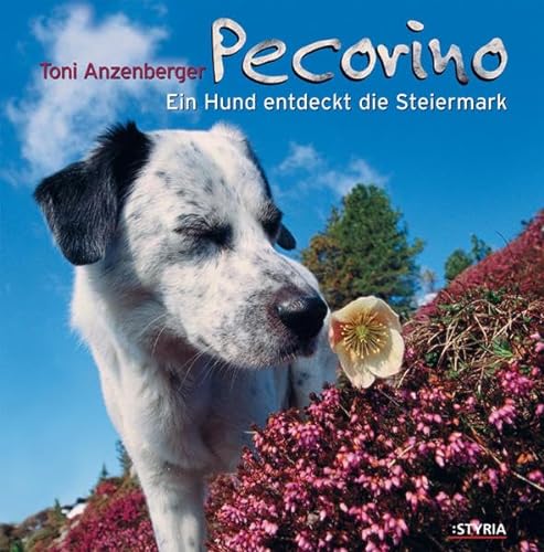 9783222131745: Pecorino, Ein Hund entdeckt die Steiermark