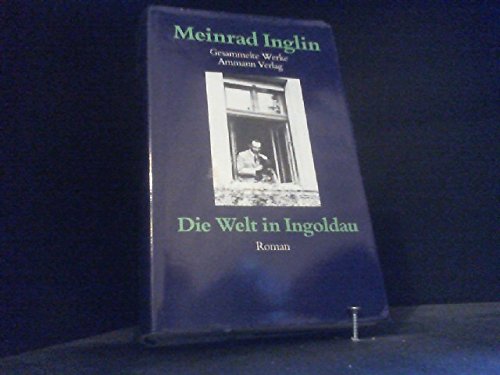 Stock image for Gesammelte Werke in Einzelausgaben: Welt in Ingoldau: Bd. 1 for sale by medimops