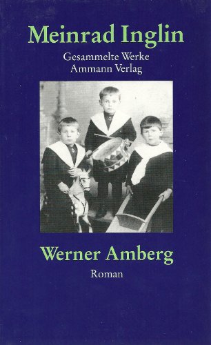 Imagen de archivo de Gesammelte Werke in Einzelausgaben: Werner Amberg: Die Geschichte seiner Jugend: Bd. 6 a la venta por medimops