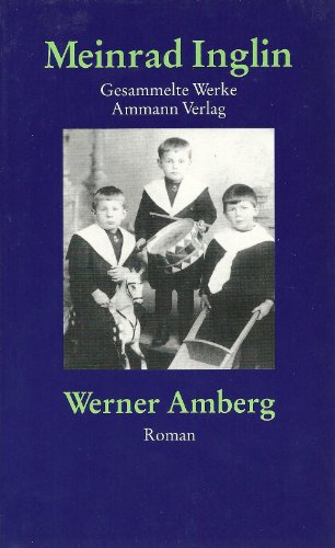 Stock image for Gesammelte Werke in Einzelausgaben: Werner Amberg: Die Geschichte seiner Jugend: Bd. 6 for sale by medimops