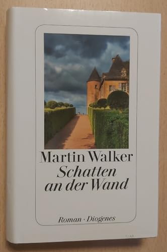 9783257068436: Schatten an der Wand