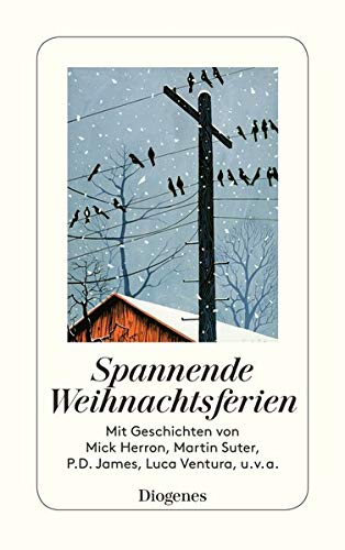 Stock image for Spannende Weihnachtsferien for sale by Revaluation Books