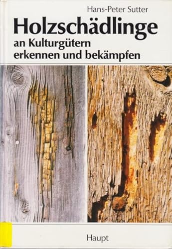 Stock image for Holzschdlinge an Kulturgtern erkennen und bekmpfen for sale by medimops