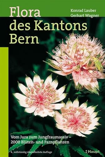 Imagen de archivo de Flora des Kantons Bern: Vom Jura zum Jungfraumassiv - 2000 Blten- und Farnpflanzen a la venta por medimops