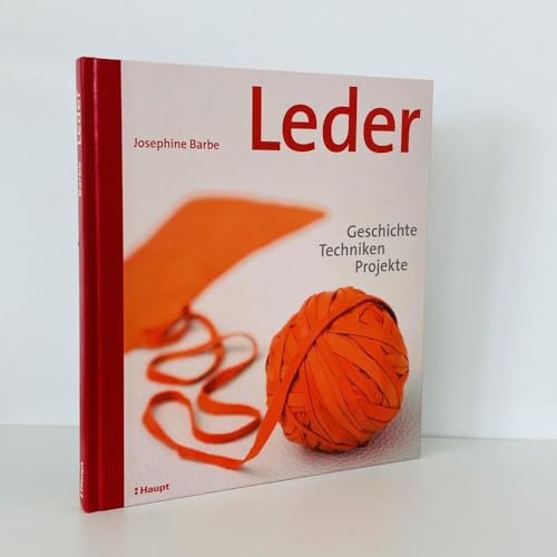 9783258070728: Leder: Geschichte, Techniken, Projekte