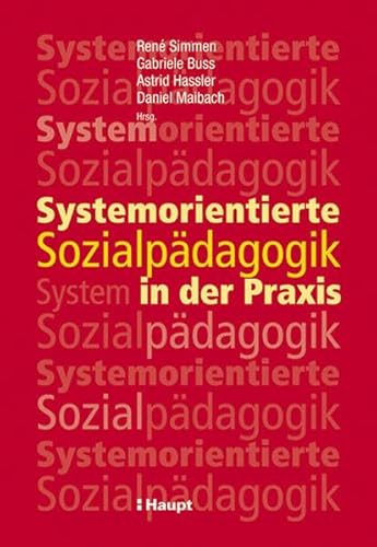 Imagen de archivo de Systemorientierte Sozialpdagogik in der Praxis a la venta por medimops