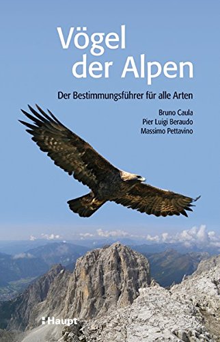 Imagen de archivo de Vgel der Alpen: Der Bestimmungsfhrer fr alle Arten a la venta por medimops