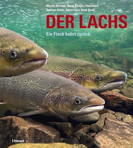 Der Lachs: Ein Fisch kehrt zurück - Mertens, Marion; Bösiger, Ruedi; Imhof, Paul; Knutti, Andreas; Küry, Daniel; Staub, Erich