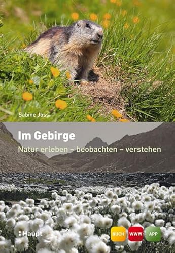 9783258076744: Im Gebirge: Natur erleben - beobachten - verstehen