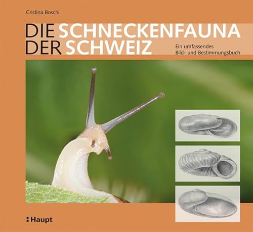 Beispielbild fr Die Schneckenfauna der Schweiz: Ein umfassendes Bild- und Bestimmungsbuch. zum Verkauf von Antiquariat Bernhardt