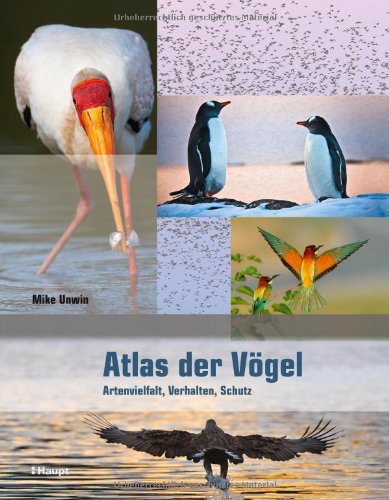 Beispielbild fr Atlas der Vgel: Artenvielfalt, Verhalten, Schutz zum Verkauf von medimops