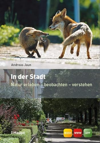 Stock image for Jaun, A: In der Stadt for sale by WorldofBooks