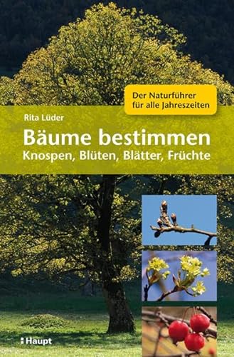 Bäume bestimmen - Knospen, Blüten, Blätter, Früchte: Der Naturführer für alle Jahreszeiten - Rita Lüder