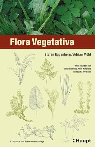 9783258077987: Eggenberg, S: Flora Vegetativa