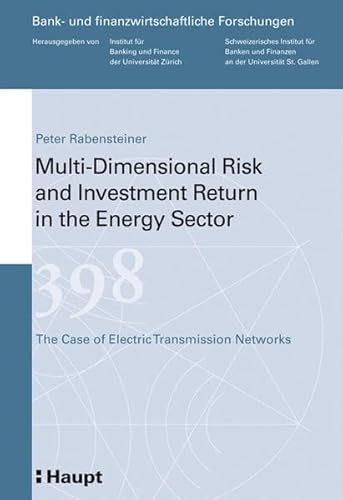 9783258078052: Multi-Dimensional Risk and Investment Return in the Energy Sector: The Case of Electric Transmission Networks
