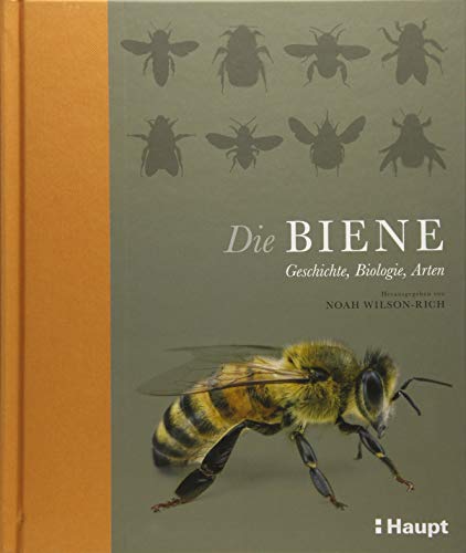 Beispielbild fr Die Biene: Geschichte, Biologie, Arten zum Verkauf von medimops