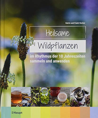 Stock image for Heilsame Wildpflanzen: im Rhythmus der 10 Jahreszeiten sammeln und anwenden for sale by HPB-Red