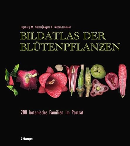 Imagen de archivo de Bildatlas der Bltenpflanzen: 200 botanische Familien im Portrt a la venta por medimops