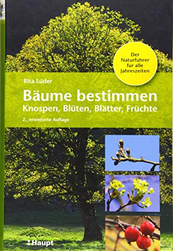 Stock image for Bume bestimmen - Knospen, Blten, Bltter, Frchte for sale by GreatBookPrices