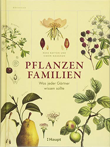 Beispielbild fr Pflanzenfamilien: Was jeder Grtner wissen sollte zum Verkauf von medimops