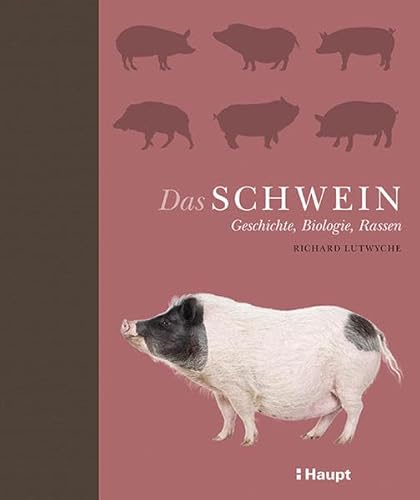 9783258080932: Das Schwein: Geschichte, Biologie, Rassen