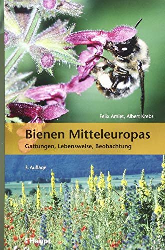 Imagen de archivo de Bienen Mitteleuropas -Language: german a la venta por GreatBookPrices