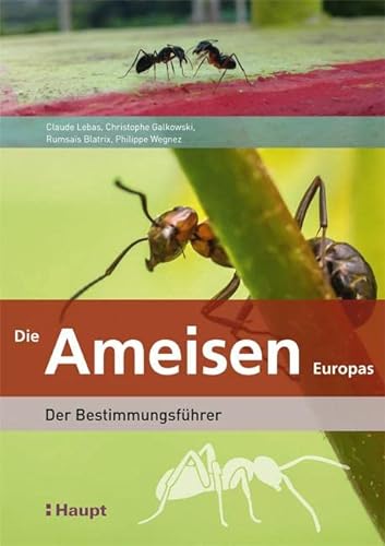 9783258081274: Die Ameisen Europas: Der Bestimmungsfhrer