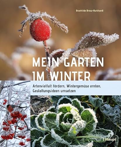 Beispielbild fr Mein Garten im Winter: Artenvielfalt frdern, Wintergemse ernten, Gestaltungsideen umsetzen zum Verkauf von medimops