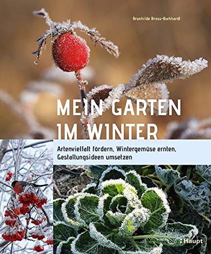 9783258081724: Mein Garten im Winter: Artenvielfalt frdern, Wintergemse ernten, Gestaltungsideen umsetzen