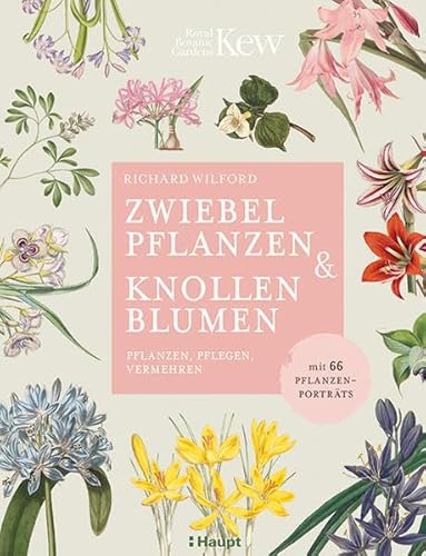 Imagen de archivo de Zwiebelpflanzen &amp; Knollenblumen a la venta por Blackwell's