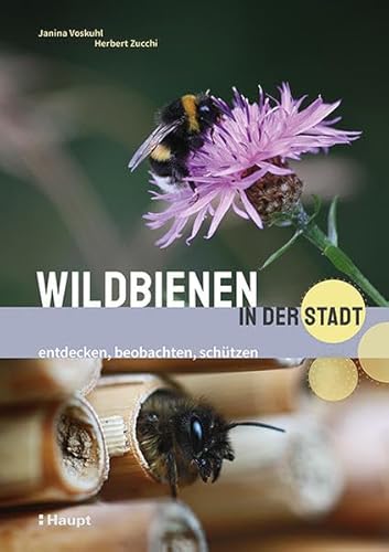 Stock image for Wildbienen in der Stadt: entdecken, beobachten, schtzen for sale by Revaluation Books