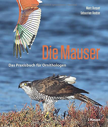 Beispielbild fr Die Mauser: Das Praxisbuch fr Ornithologen zum Verkauf von medimops