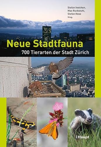 Imagen de archivo de Neue Stadtfauna a la venta por GreatBookPrices