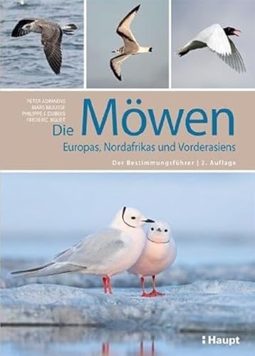 Stock image for Die Mwen Europas, Nordafrikas und Vorderasiens for sale by GreatBookPrices