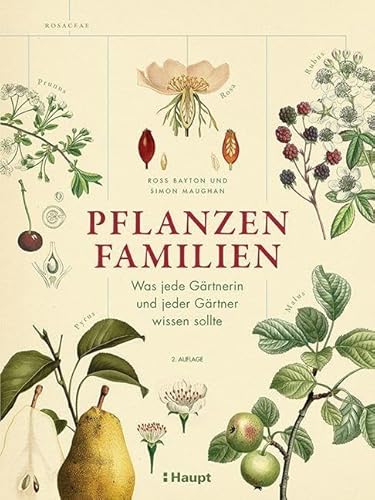 Beispielbild fr Pflanzenfamilien zum Verkauf von GreatBookPrices