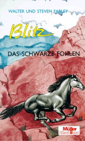 Stock image for Blitz, Bd.13, Blitz, das schwarze Fohlen for sale by medimops