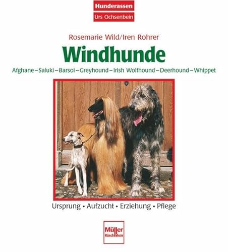 Stock image for Windhunde - Afghane/Saluki/Barsoi/Greyhound/Irish Wolfhound/Deerhound/: Whippet - Ursprung - Aufzucht - Erziehung - Pflege (Hunderassen Urs Ochsenbein) for sale by medimops