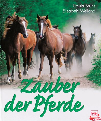 Zauber der Pferde (German Edition) - Bruns, Ursula