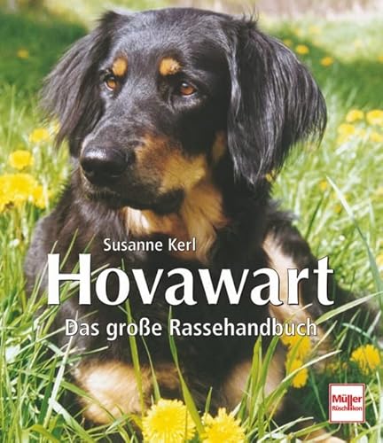 Stock image for Hovawart: Das groe Rassehandbuch for sale by medimops